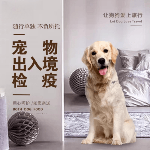 湘西州宠物托运到哥伦比亚猫狗宠物入境规定和