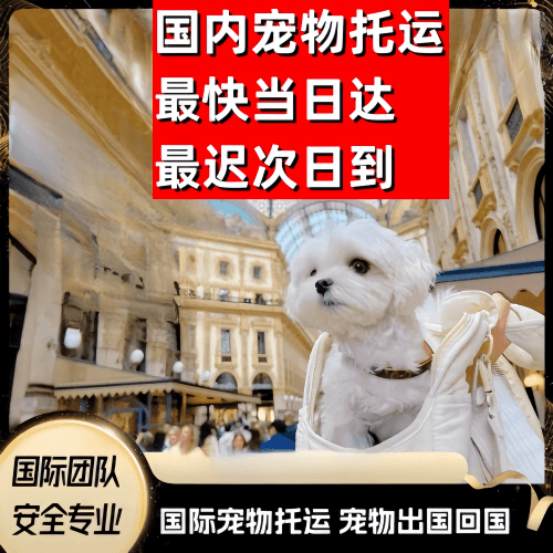 湘西州到澳大利亚（澳洲）宠物入境规定和要求