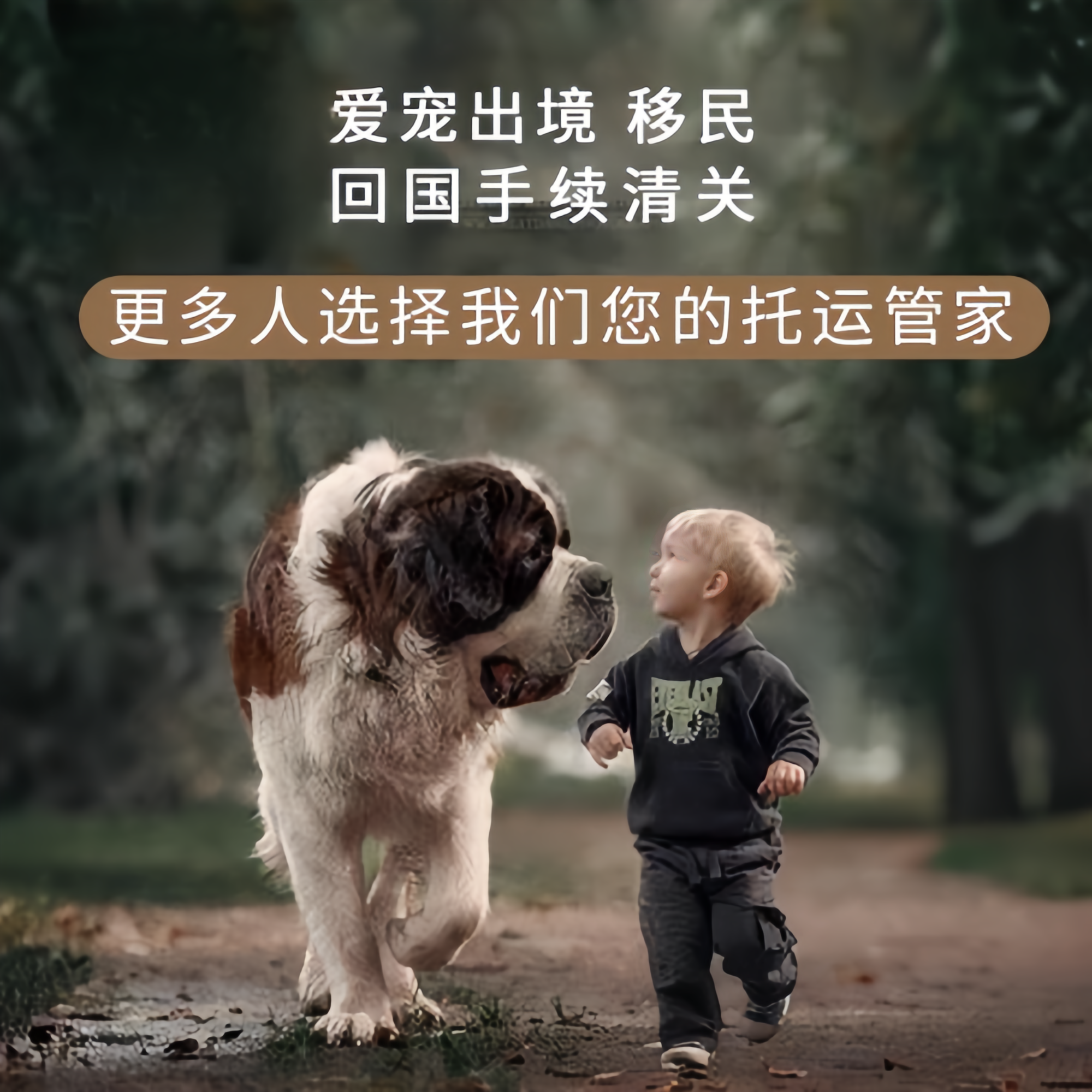 满财湘西州宠物全球达宠物托运在遵守入境目的地政策的条件
