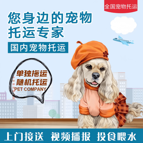 满财湘西州宠物全球达宠物托运作为专业的宠物运输代理机构